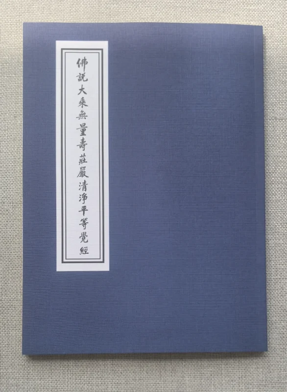 无量寿经·正体竖排大字拼音版-报恩阁